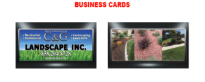 San Diego Business Cards